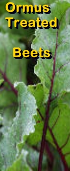 Ormus Minerals Ormus treated beets