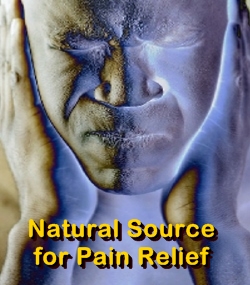 Ormus Minerals Advanced Natural Pain Relief & Nerve Support